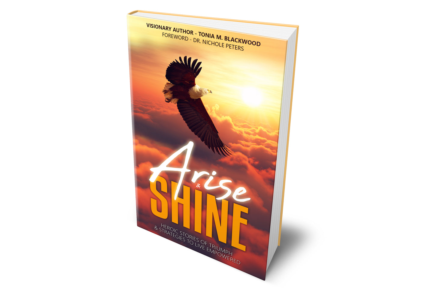 Arise & Shine Anthology: Heroic Stories of Triumph & Strategies to Live Empowered